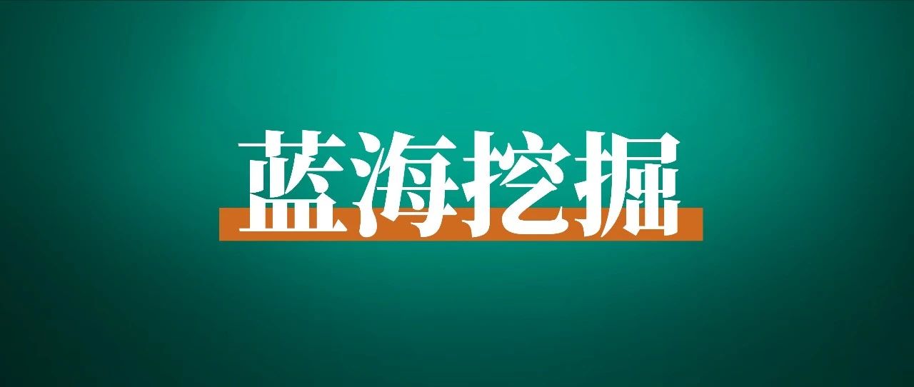 刘小排：如何从自己熟悉的领域中找到蓝海？